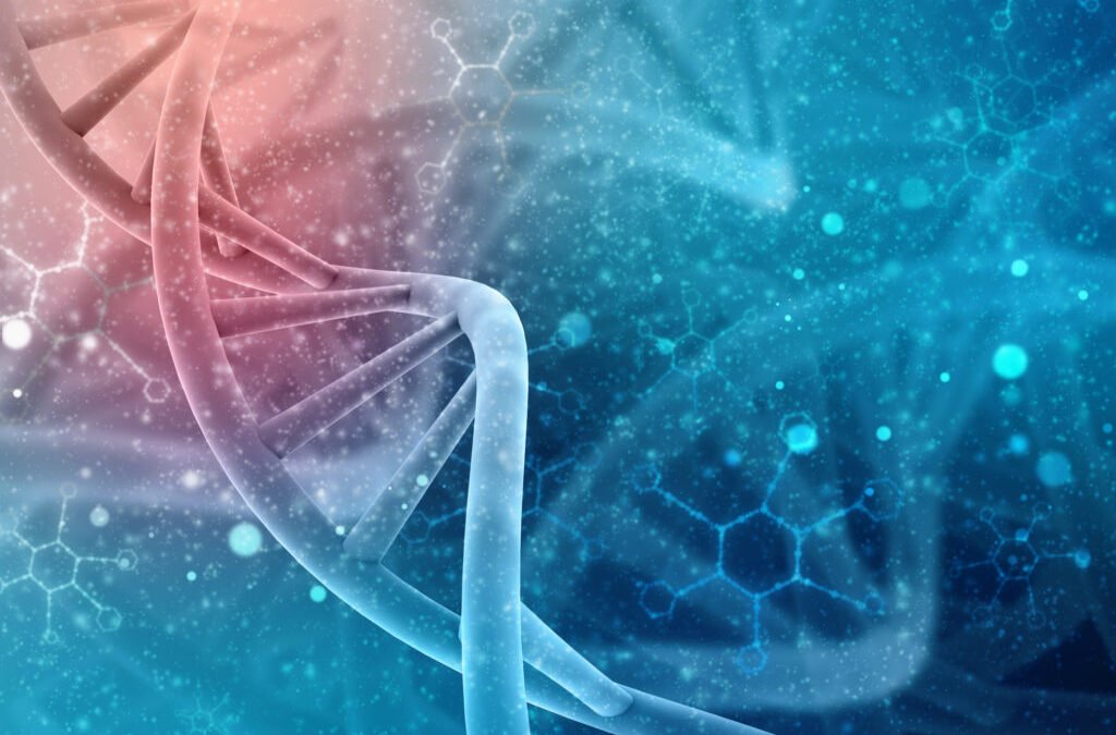 Islam and the Beginning of Human Life